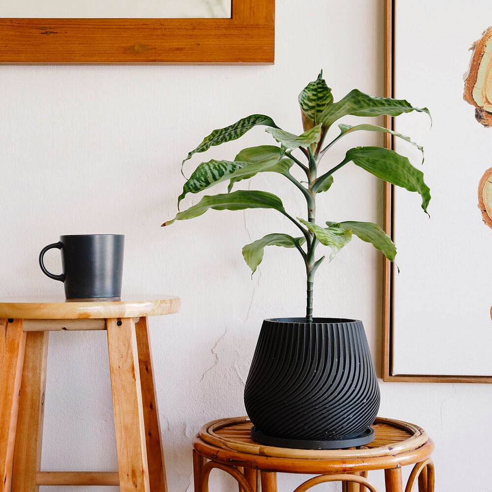 Minimalistic Plant Pots Planters