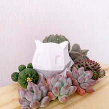 Load image into Gallery viewer, Bulbasaur Pot (Geometric)
