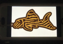 Load image into Gallery viewer, Pleco Hypan Keychain
