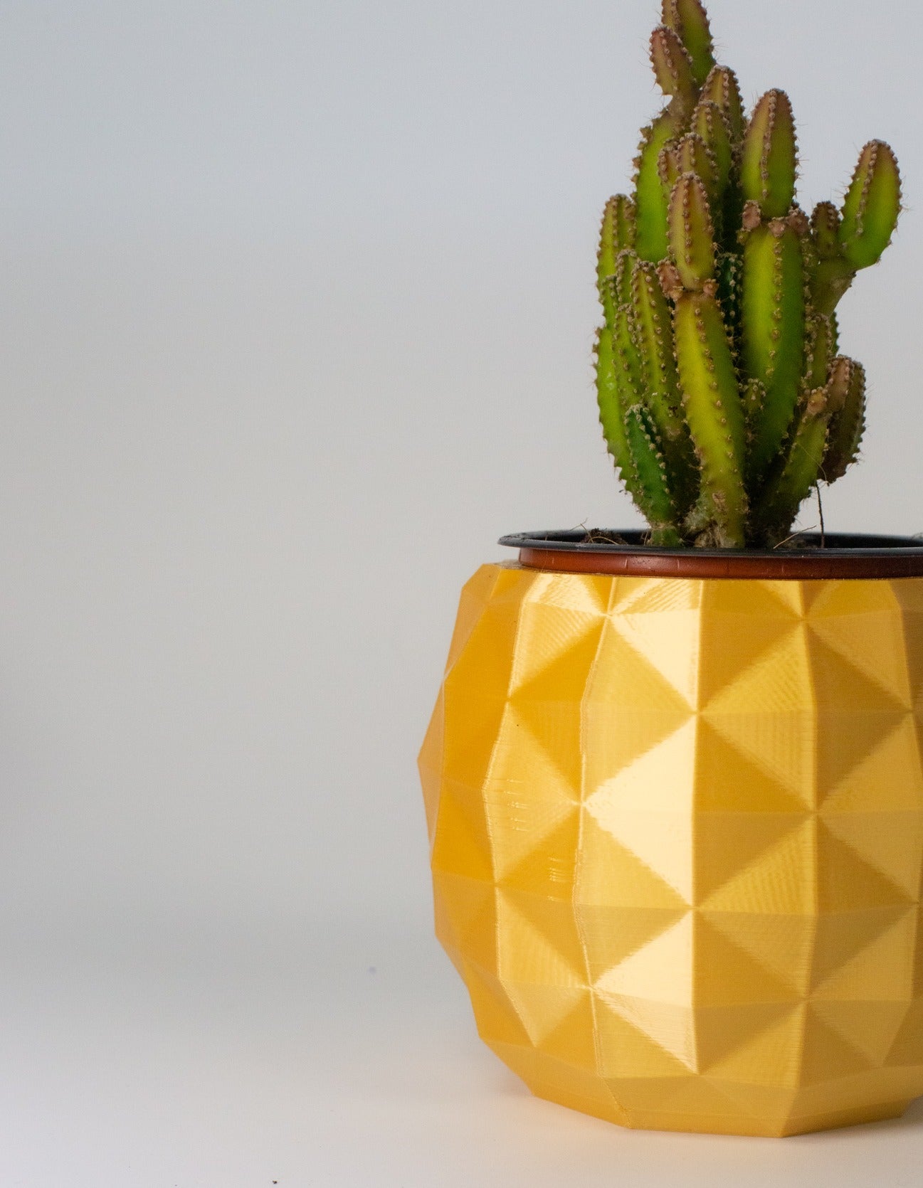 Pineapple Plant Pot Planter