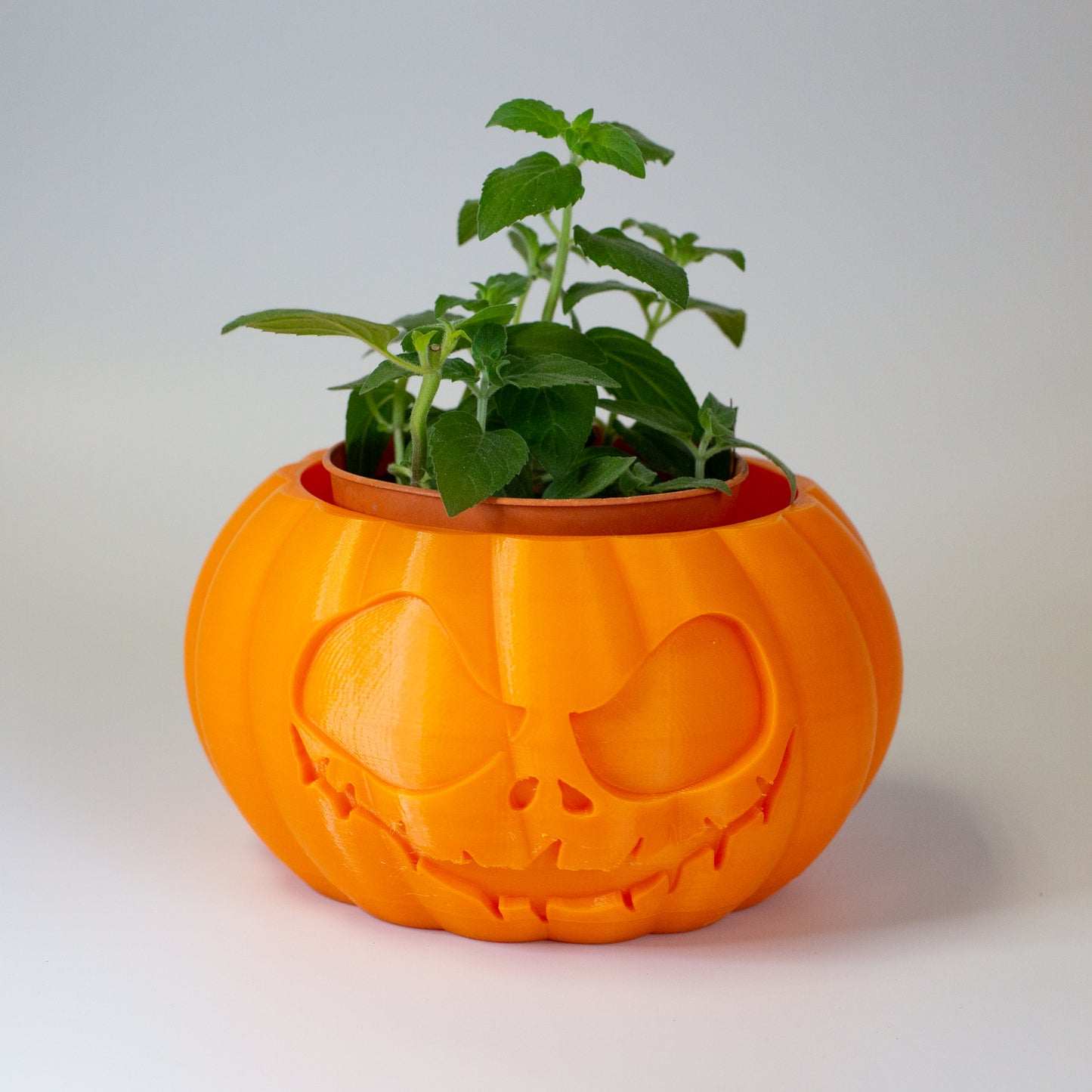 Pumpkin Plant Pot (Halloween Special)