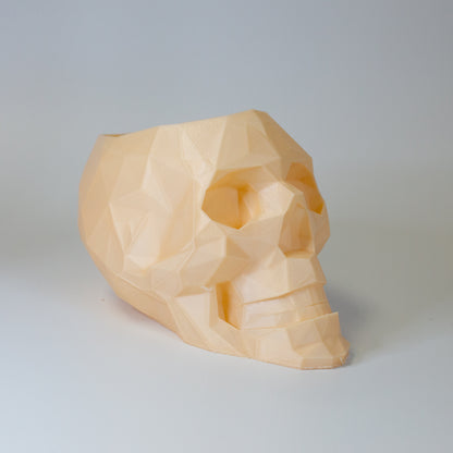 Skull Head Planter