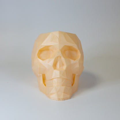 Skull Head Planter