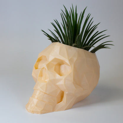 Skull Head Planter