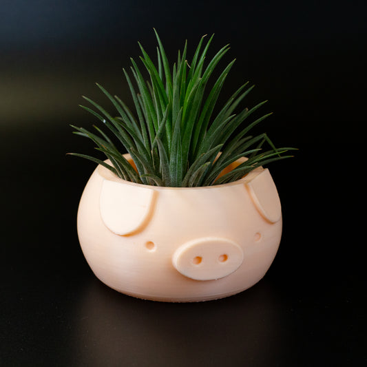 Piggy Plant Pot Planter