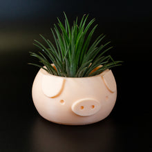 Load image into Gallery viewer, Piggy Pot
