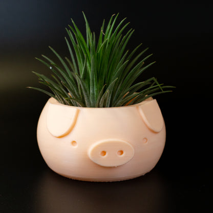 Piggy Plant Pot Planter