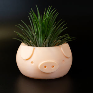 Piggy Pot