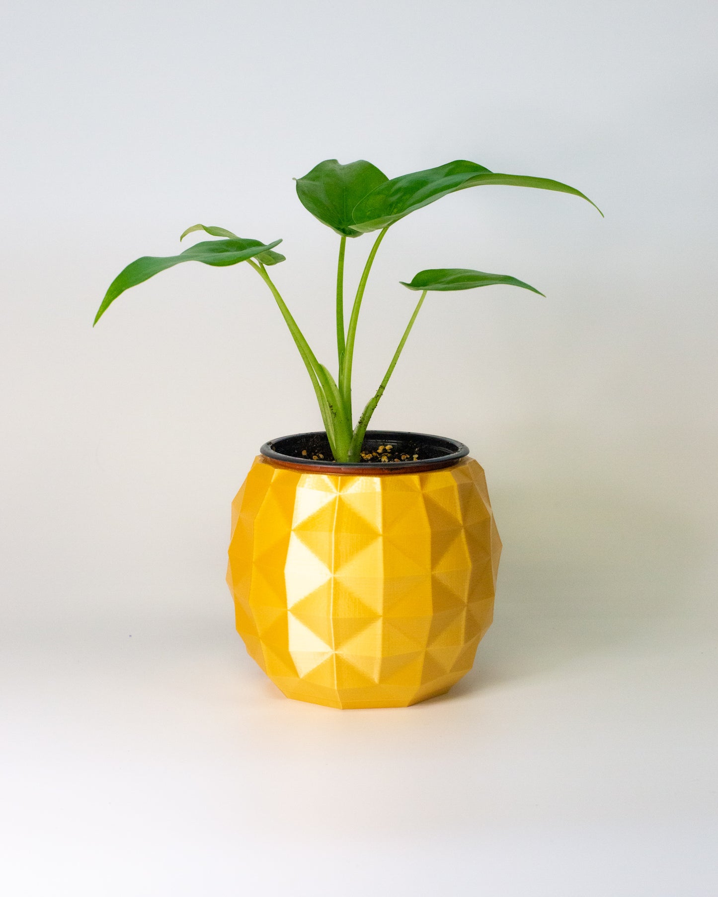 Pineapple Plant Pot Planter