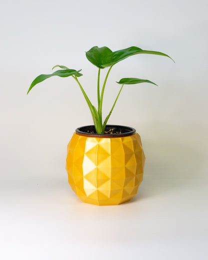 Pineapple Plant Pot Planter