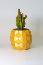Load image into Gallery viewer, Pineapple Pot
