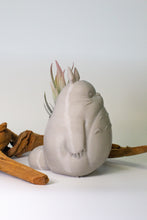 Load image into Gallery viewer, Totoro Pot
