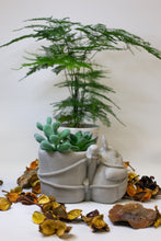 Load image into Gallery viewer, Backpack Totoro Planter
