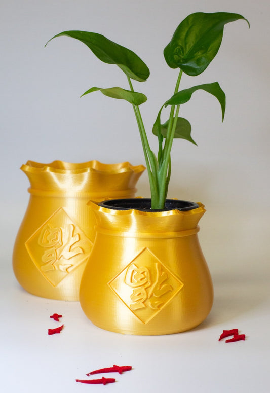 Moneybag Plant Pot & Planter (CNY Special)