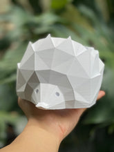 Load image into Gallery viewer, Hedgehog Pot (Geometric)
