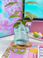 Load image into Gallery viewer, Bulbasaur Pot (with Bulb)
